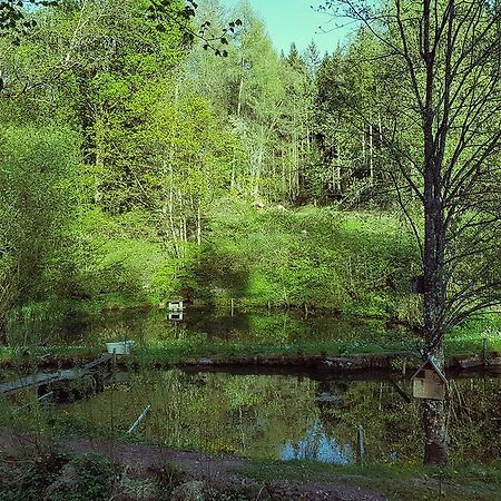 Gut Lauterbad Hotel Freudenstadt Esterno foto