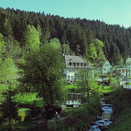 Gut Lauterbad Hotel Freudenstadt Esterno foto
