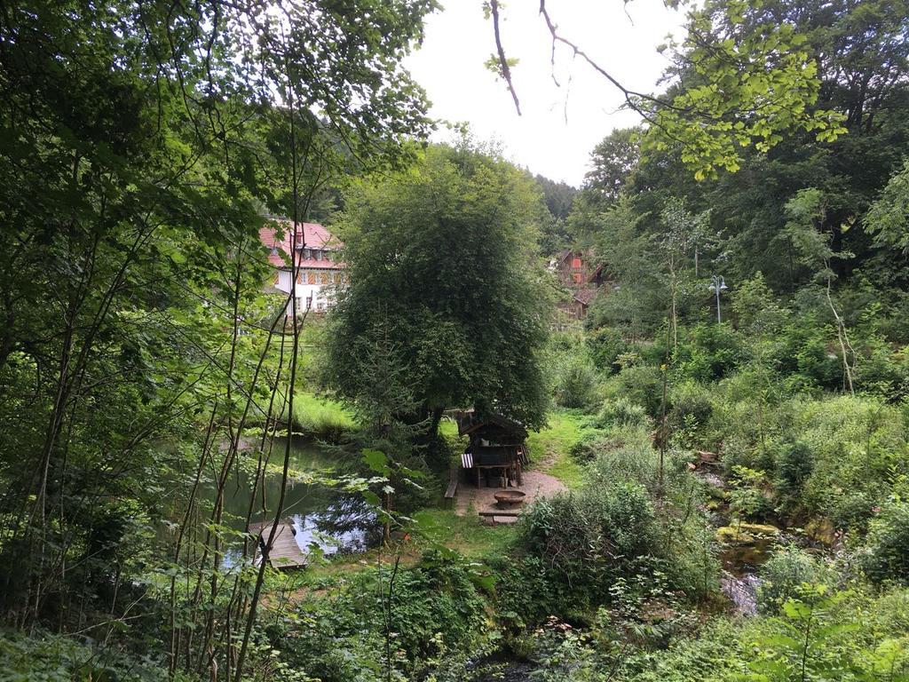 Gut Lauterbad Hotel Freudenstadt Esterno foto