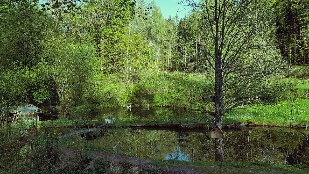 Gut Lauterbad Hotel Freudenstadt Esterno foto