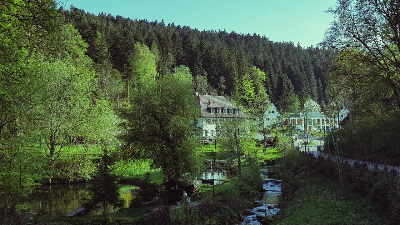Gut Lauterbad Hotel Freudenstadt Esterno foto