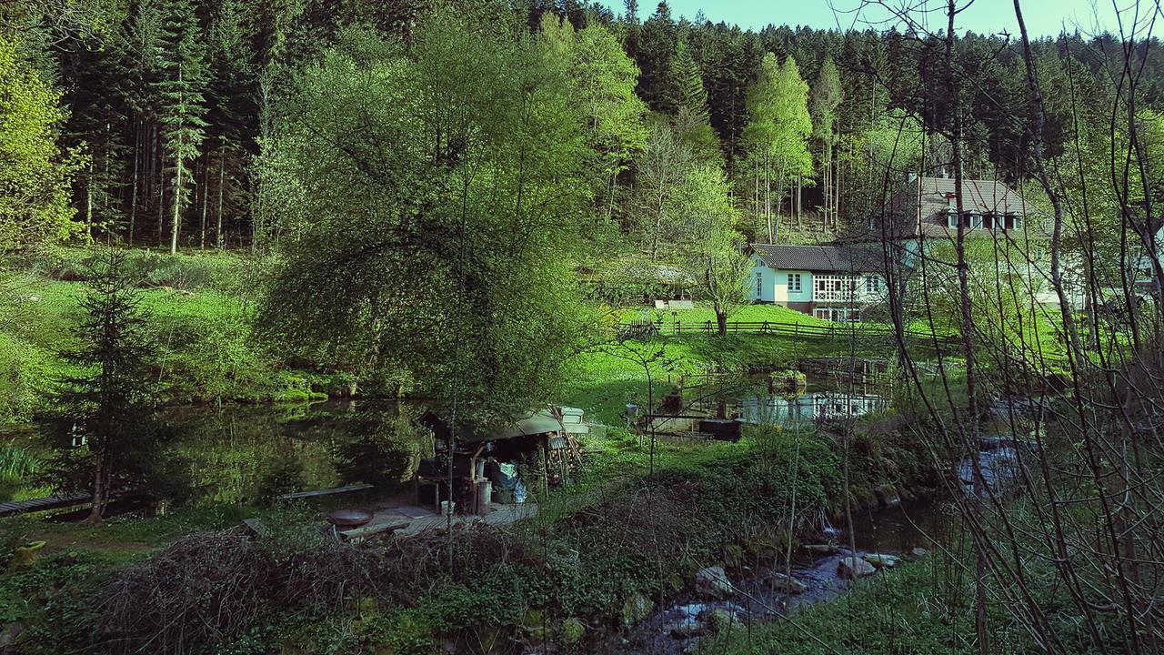 Gut Lauterbad Hotel Freudenstadt Esterno foto