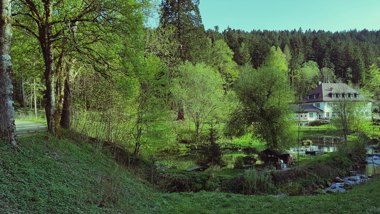 Gut Lauterbad Hotel Freudenstadt Esterno foto