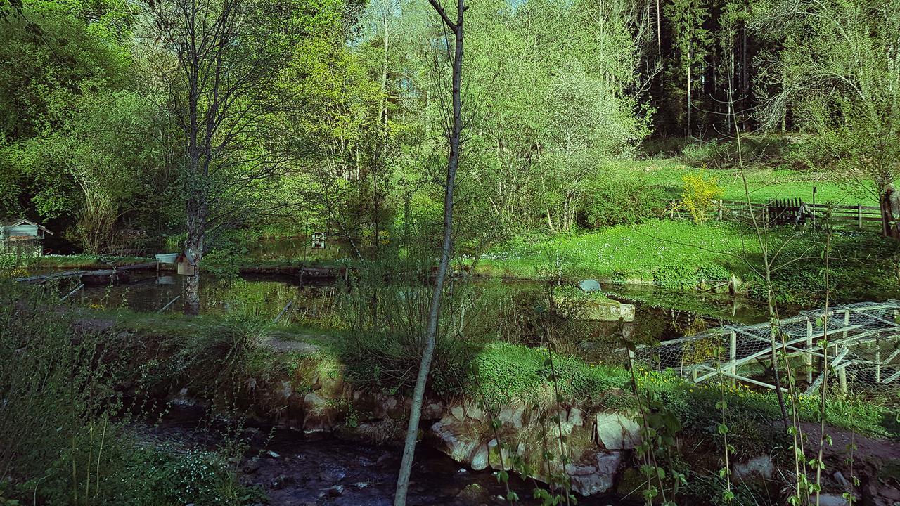 Gut Lauterbad Hotel Freudenstadt Esterno foto